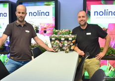 Peter van den Hem and Steef de Lange promote their Pia and Gigi potted roses. The Pia and Gia are the Pink and Red-white, double-coloured pot roses. Both varieties are available in pot sizes 10.5 and 7cm.